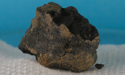 meteorito origem da vida