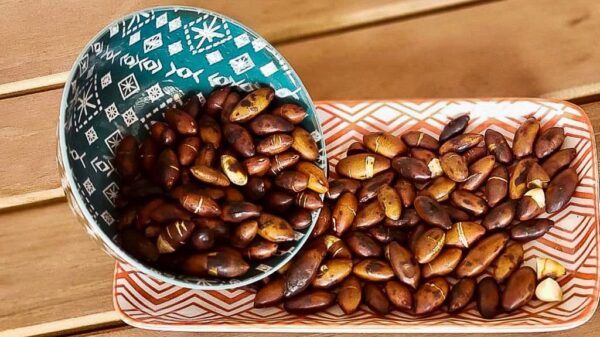 Alimentação escolar