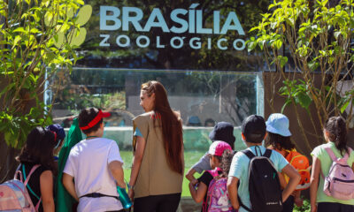 Colônia de Feras Zoológico de Brasília