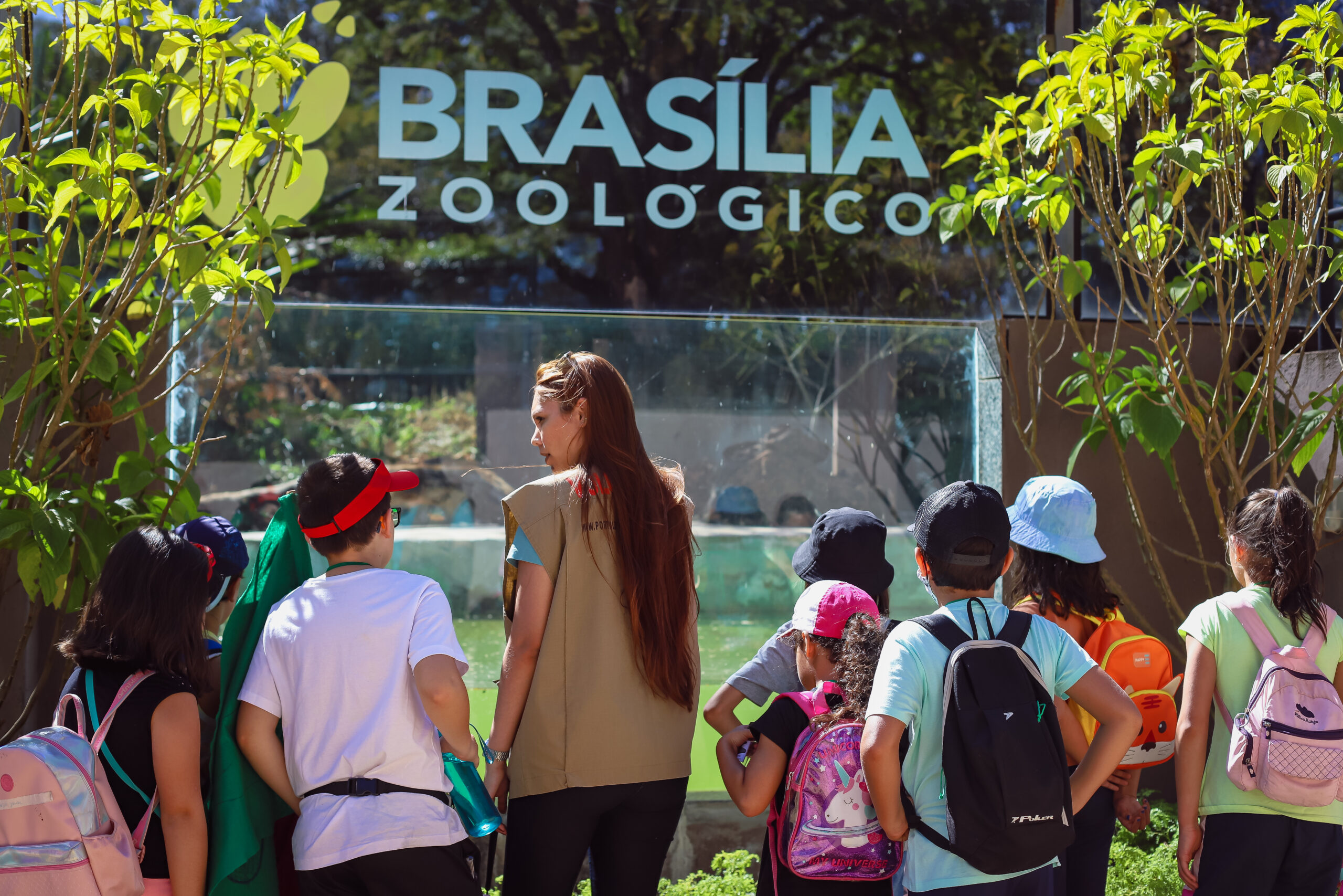Colônia de Feras Zoológico de Brasília