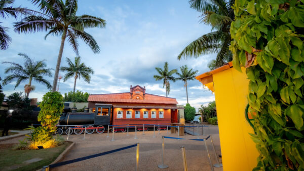 Quintal da Dona Graça