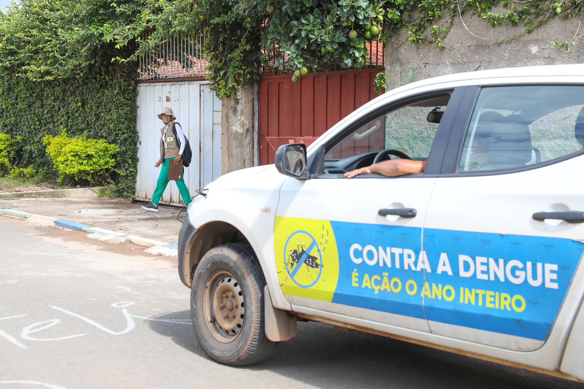 combate à dengue