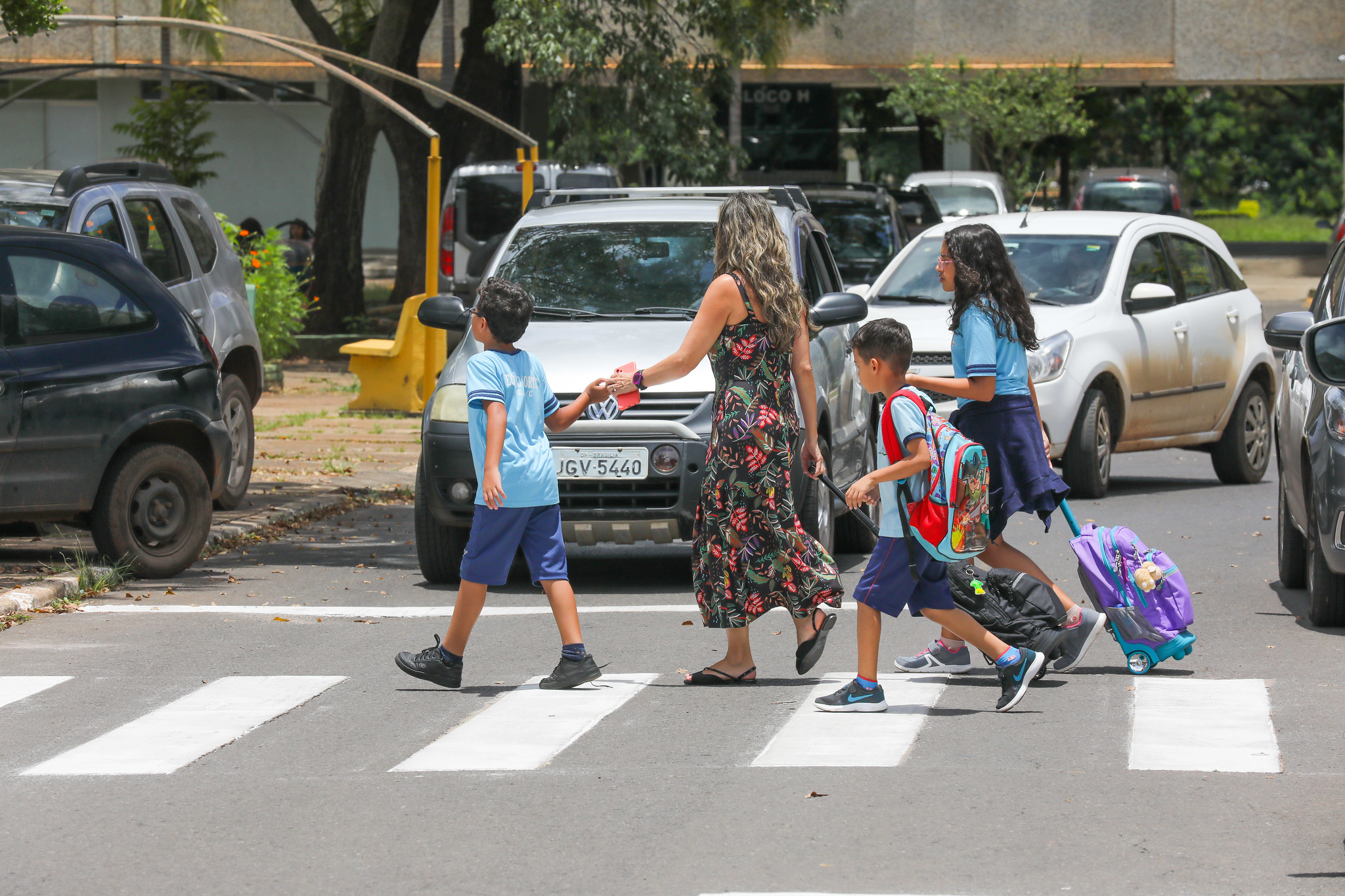 Detran-DF - faixas de pedestre revitalizadas