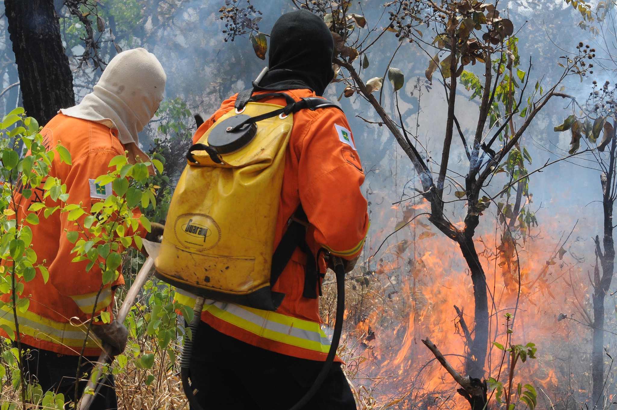 Brigadista Florestal