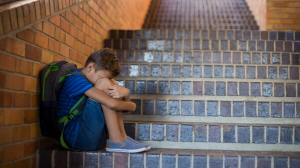 Segurança nas escolas - efeito contágio