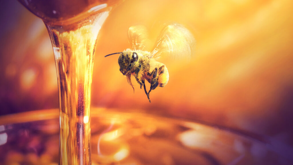 Benefícios do mel para o organismo