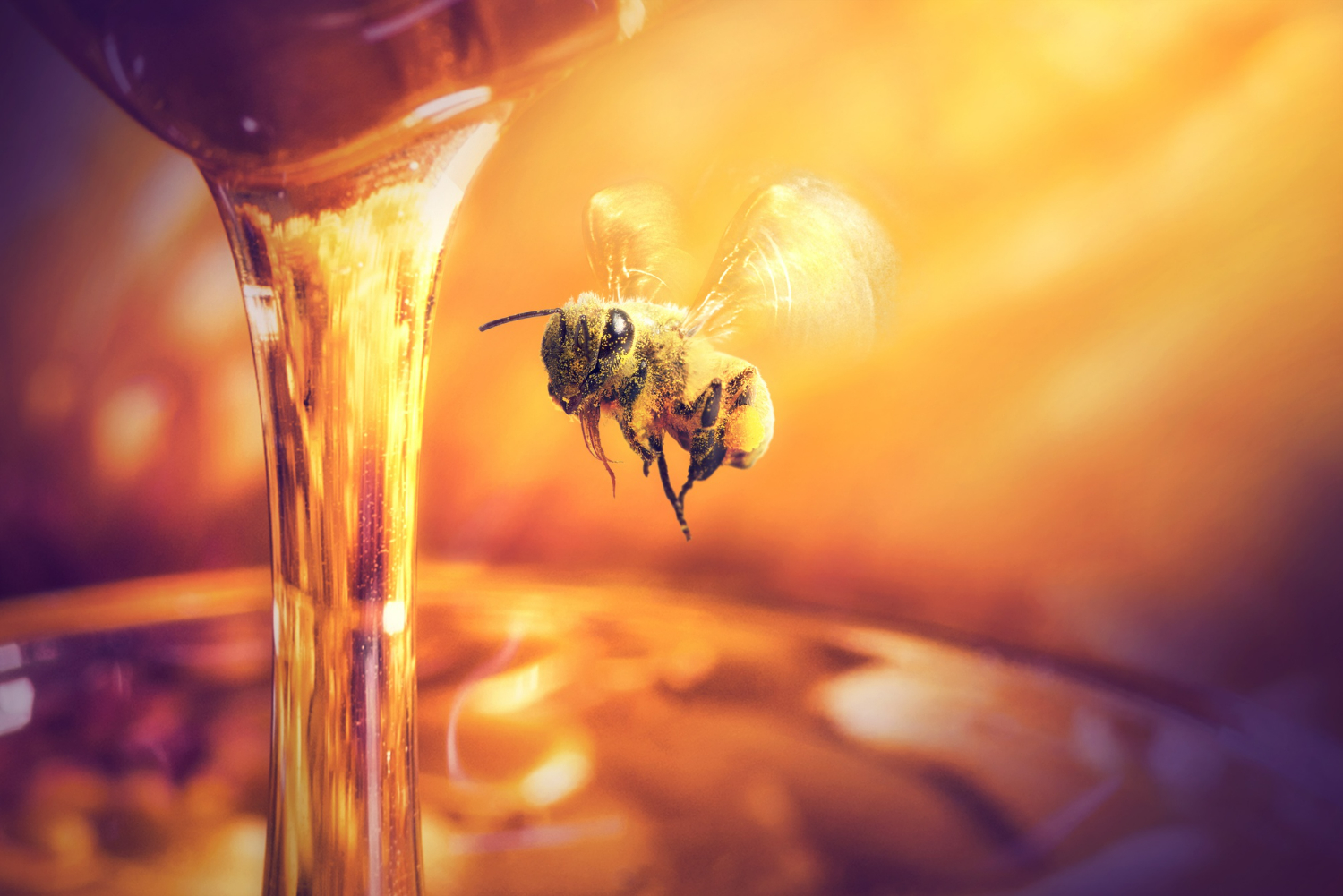 Benefícios do mel para o organismo