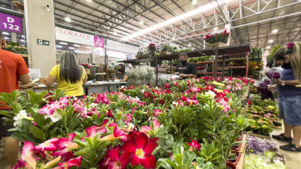 Flores Dia das Mães