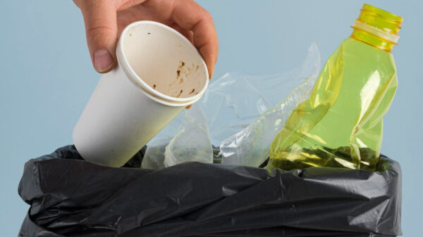 Lugar de lixo é na lixeira