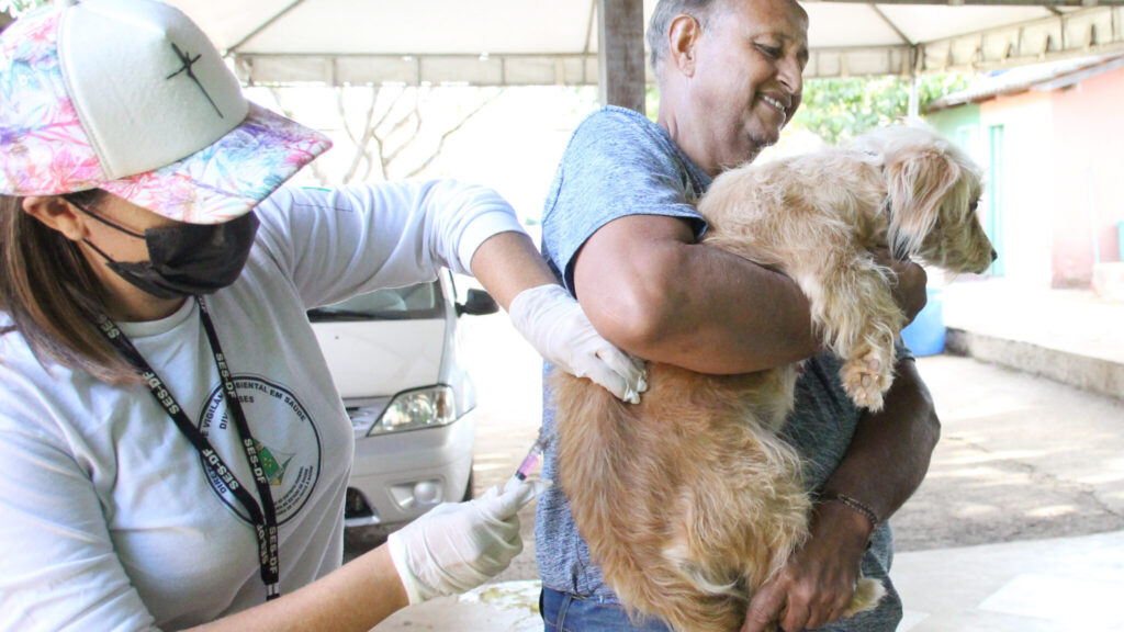 Vacinação antirrábica cães e gatos
