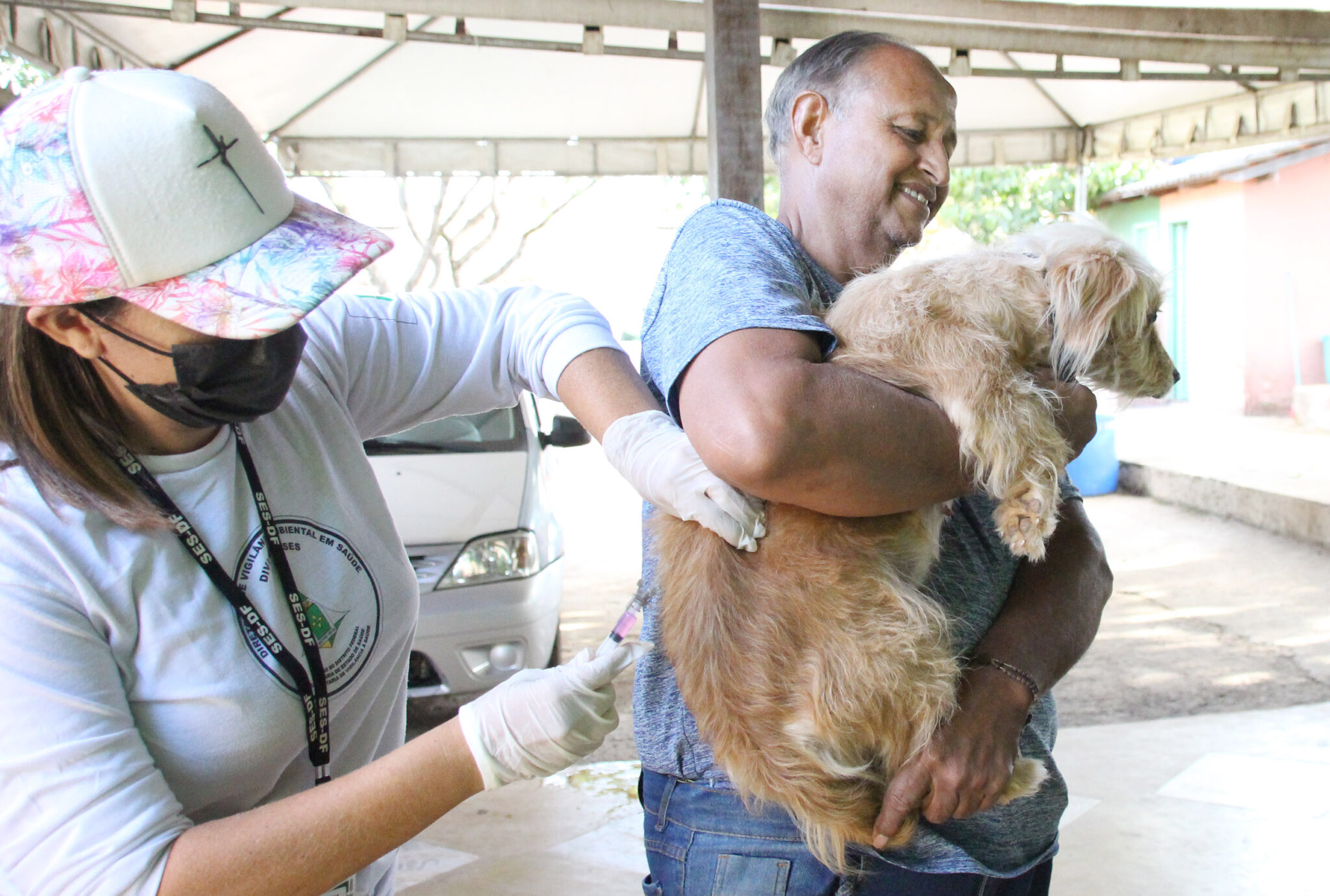 Vacinação antirrábica cães e gatos