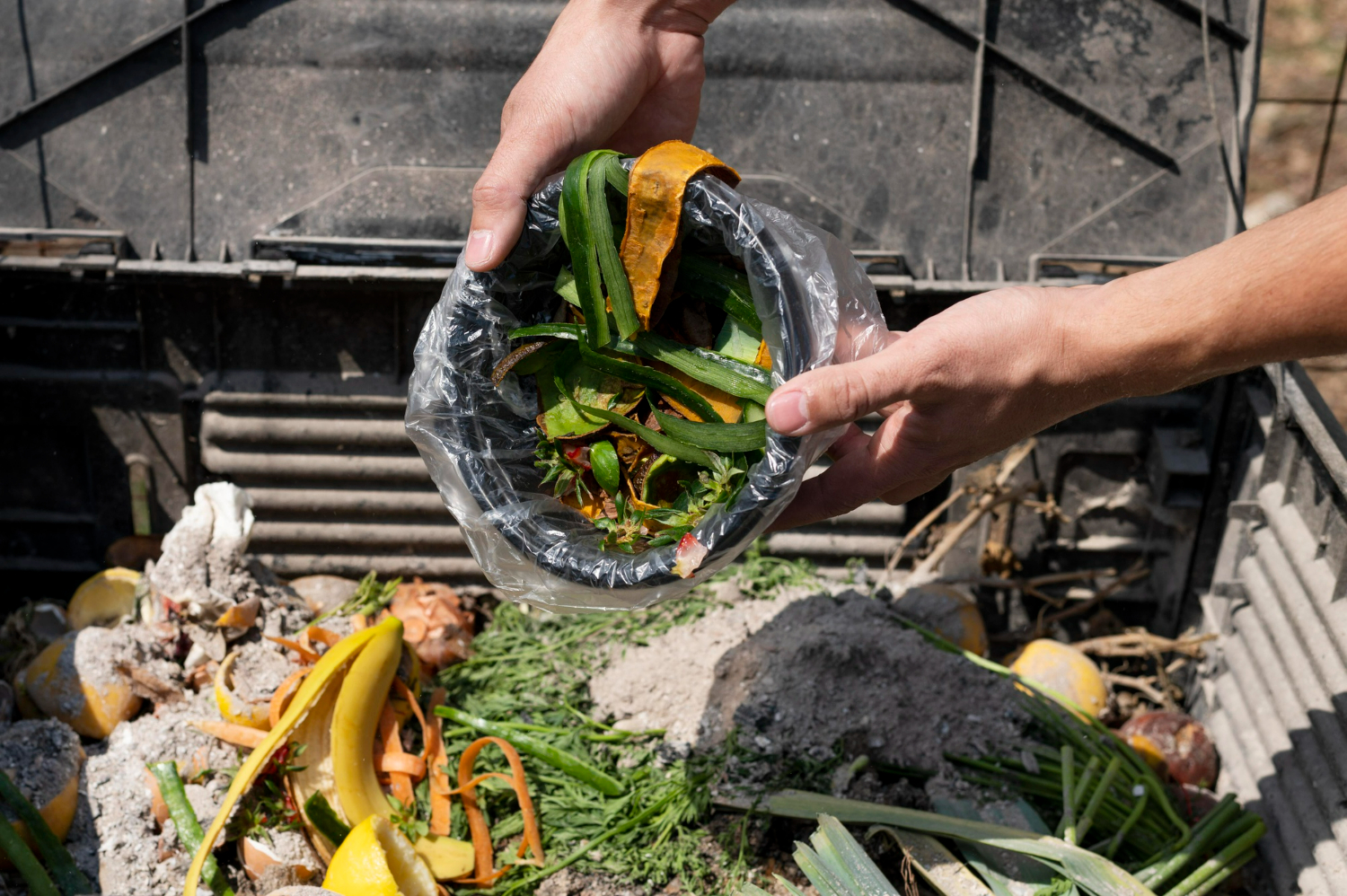 Alimentos descartados lixo