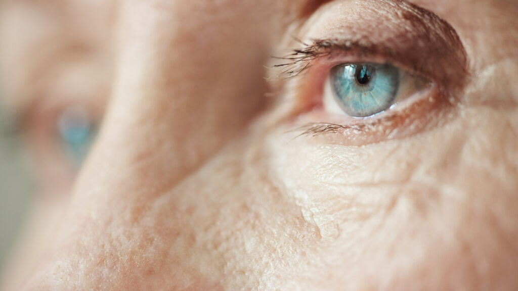 Cegueira - Conselho Brasileiro de Oftalmologia