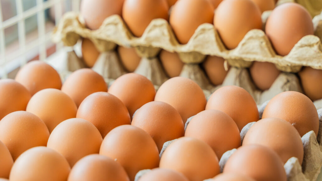 Instituto Ovos Brasil