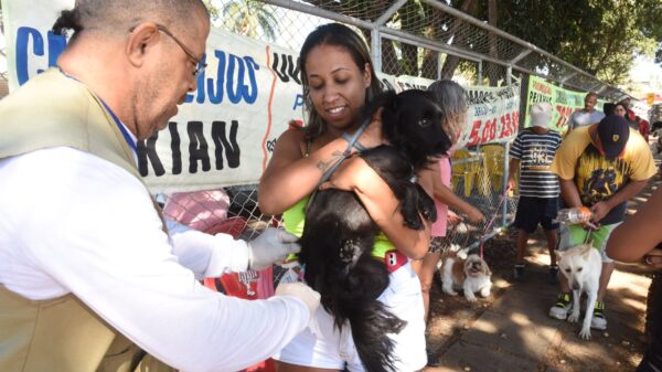 Vacinação cães e gatos DF