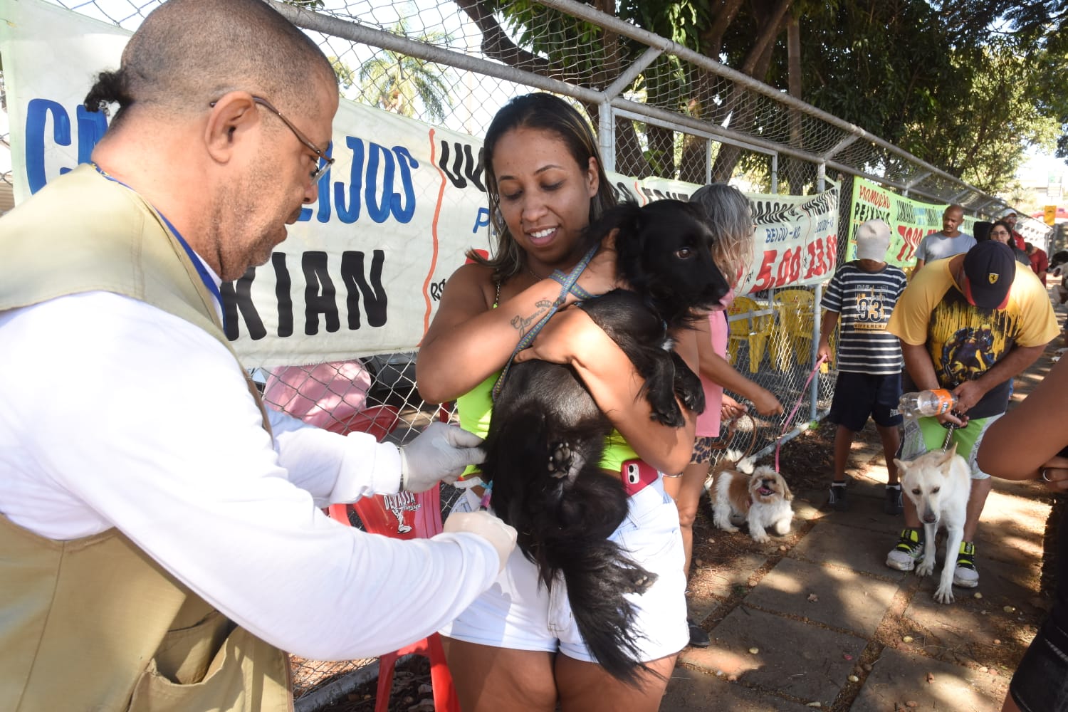 Vacinação cães e gatos DF