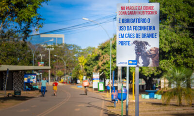 Campanha GDF cães com coleira e focinheira Parque da Cidade