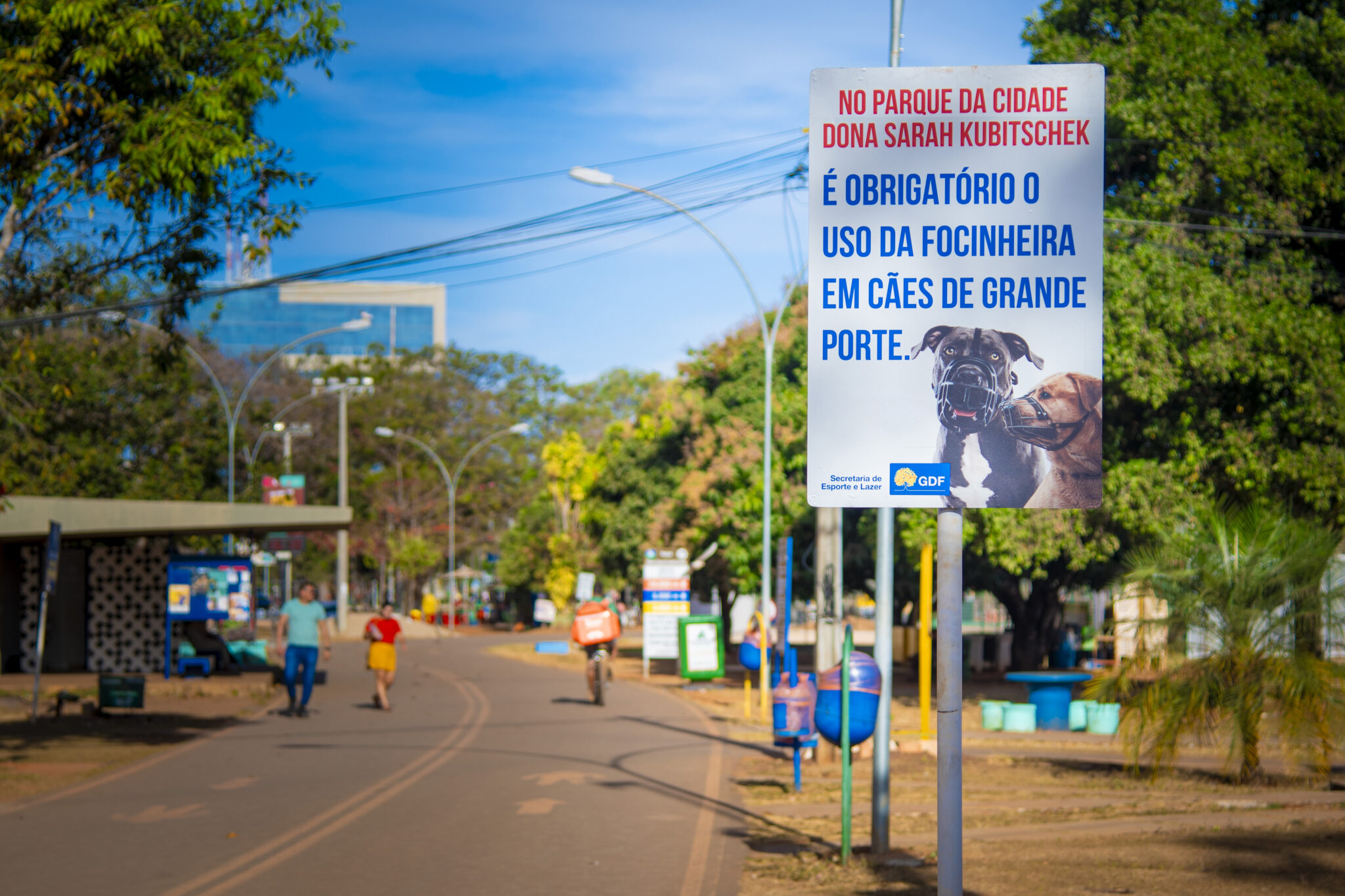 Campanha GDF cães com coleira e focinheira Parque da Cidade