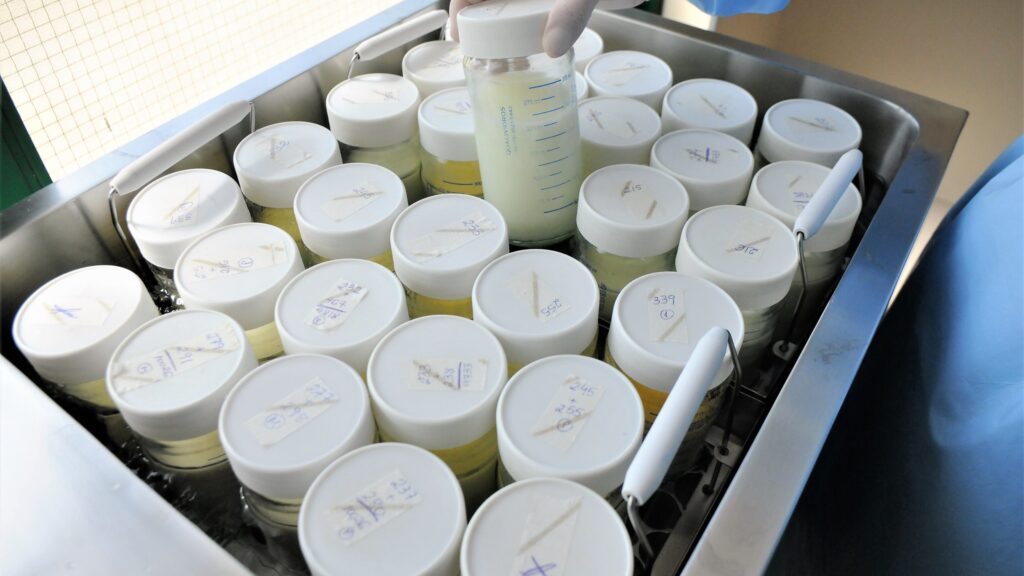 Doação de leite materno