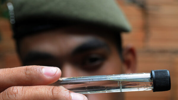 Exército Brasileiro no combate à dengue