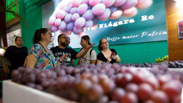 Festa da Uva Jundiaí 2024