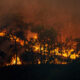 Monitor do Fogo - queimadas - incêndios florestais