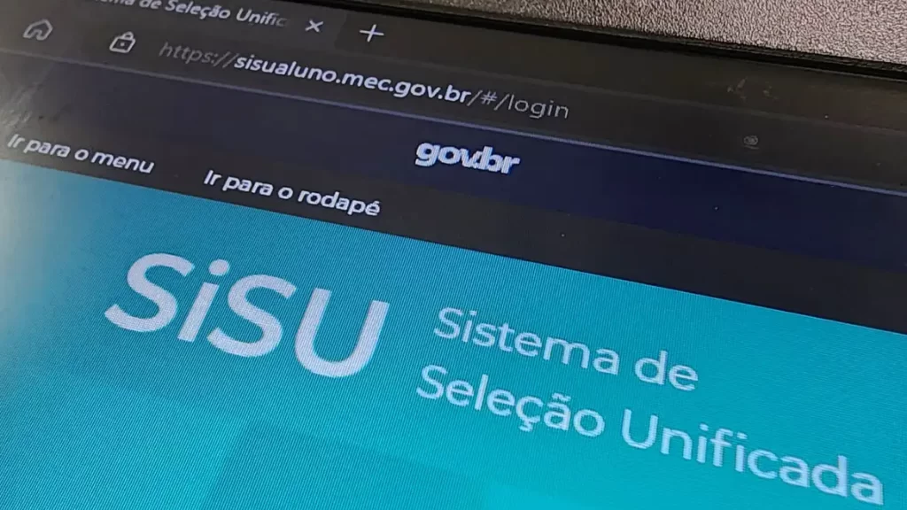 Sisu