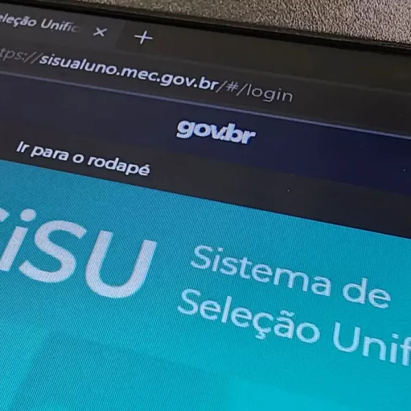 Sisu