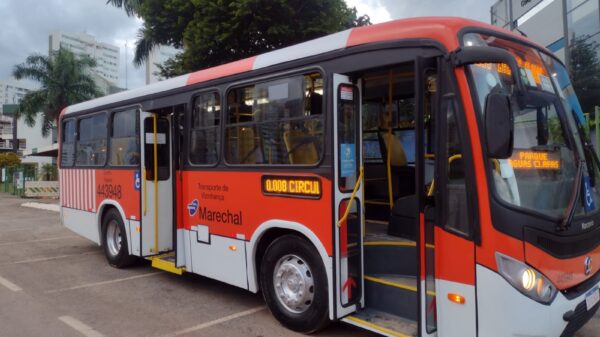 zebrinha Águas Claras