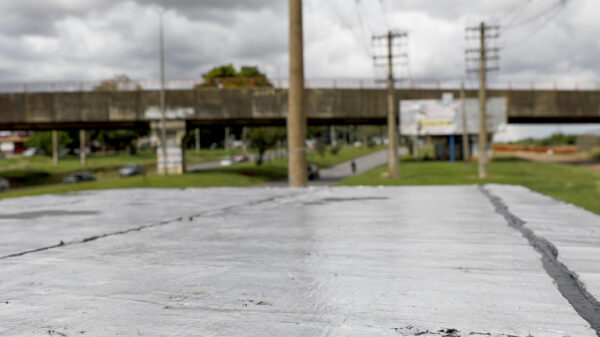 combate à dengue DF