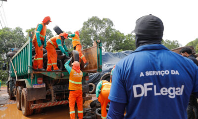 denúncias contra dengue DF Legal GDF