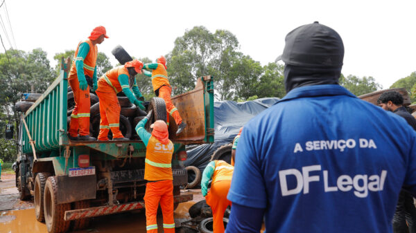 denúncias contra dengue DF Legal GDF