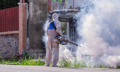 fumacê combate à dengue