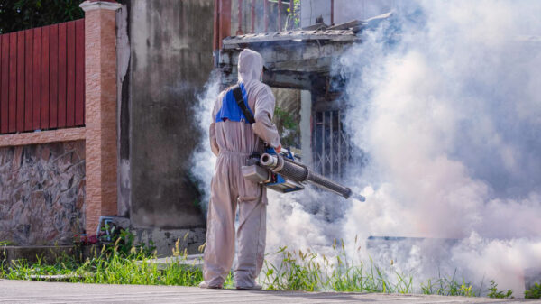 fumacê combate à dengue