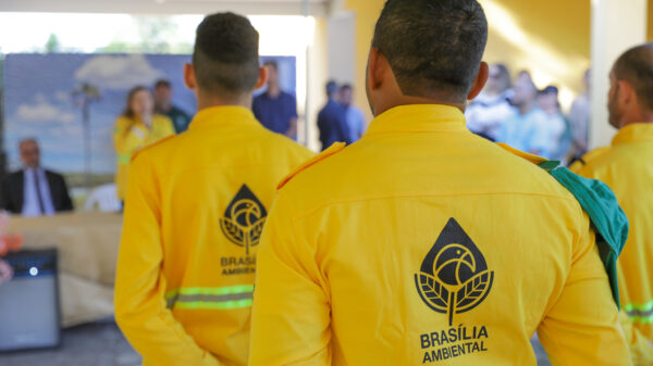 Brigadistas Brasília Ambiental
