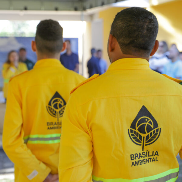 Brigadistas Brasília Ambiental