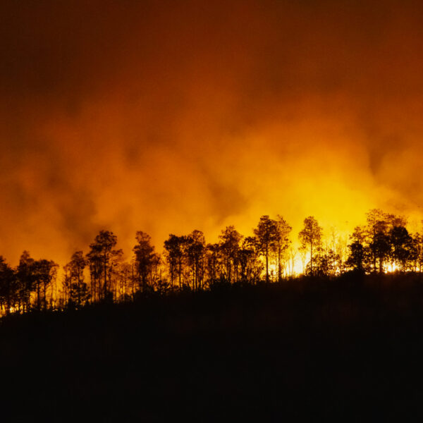 incêndios florestais queimadas