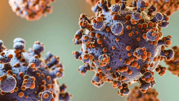 mpox varíola dos macacos