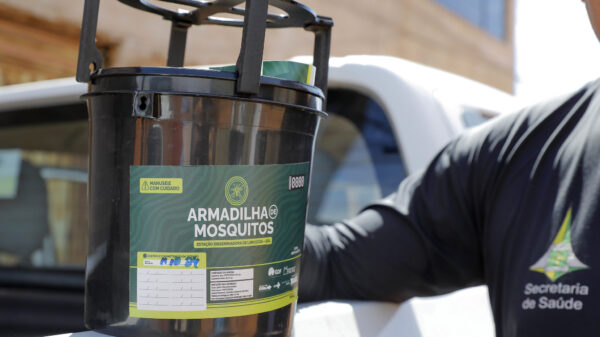 armadilha aedes aegypti