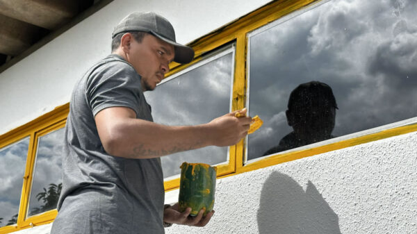 Pedreiro Francisco Tavares - Emprego Sejus-DF