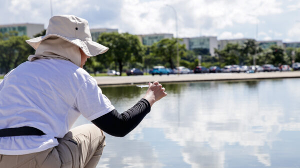combate à dengue DF