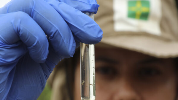 combate à dengue df