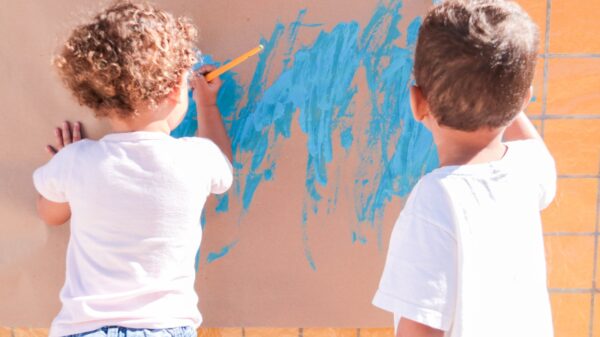 creches públicas DF