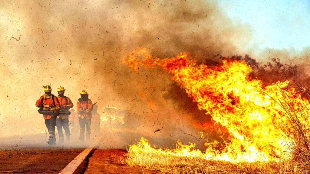 Incêndios florestais DF - Operação Verde Vivo CBMDF