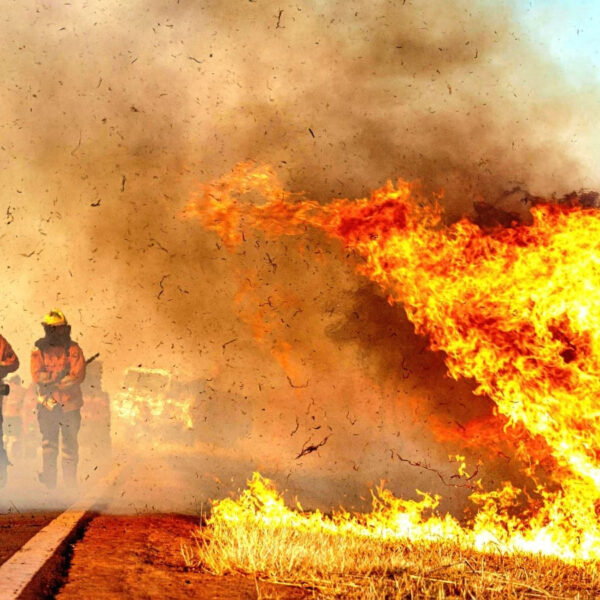 Incêndios florestais DF - Operação Verde Vivo CBMDF