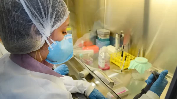 vacina contra zika USP