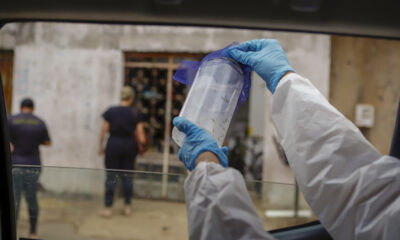 Método Wolbachia combate à dengue