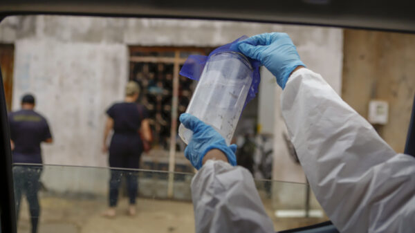 Método Wolbachia combate à dengue