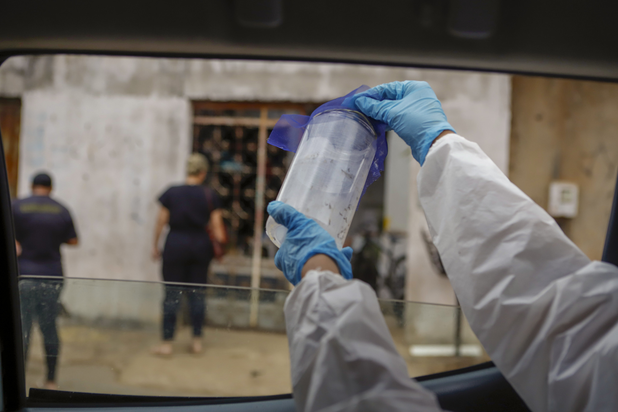 Método Wolbachia combate à dengue