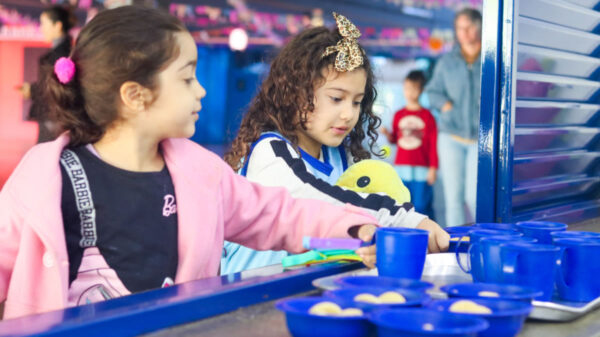 merenda escolar rede pública DF